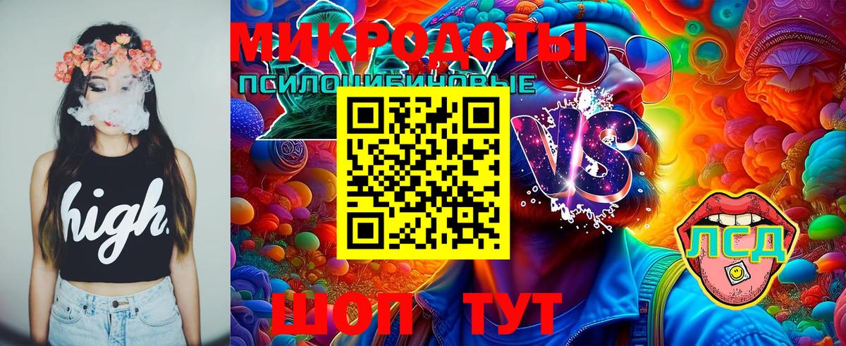Губкин  Галлюциногенные грибы мухоморы  Вход с VPN 