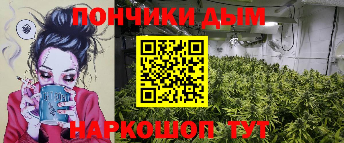 Каннабис конопля  МАРИХУАНА ГИДРОПОН  Вход с VPN  МАРИХУАНА ГИДРОПОН  Губкин  Шишки марихуана ГИДРОПОН 